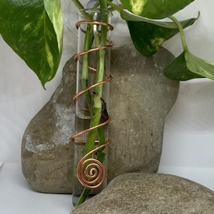 Wall or Window Mounted Plant Propagator, Test Tube Propagator, Propagation Vase, Plant Vase, Free Gift Included, Copper Wire Propagator #011