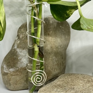 Wall or Window Mounted Plant Propagator, Test Tube Propagator, Propagation Vase, Plant Vase, Free Gift Included, Silver Wire Propagator 012