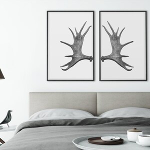 Moose Antlers Wall Art , Moose Decor, Cabin Decor, Lake House Decor Combo Premium Matte Posters