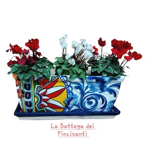 Puede incluir: Una maceta de cerámica colorida con un diseño azul, blanco, rojo y amarillo. La maceta está llena de tres tipos diferentes de plantas con flores, incluyendo ciclamen rojo y blanco. La maceta tiene una bandeja a juego. El texto "La Bottega dei Pincisanti" está impreso debajo de la maceta.