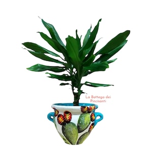 Puede incluir: Una planta en maceta con hojas largas y verdes en una maceta de cerámica pintada a mano. La maceta presenta una base blanca con diseños de cactus verdes y flores rojas y amarillas, asas azules y el texto "La Bottega dei Pincisanti".