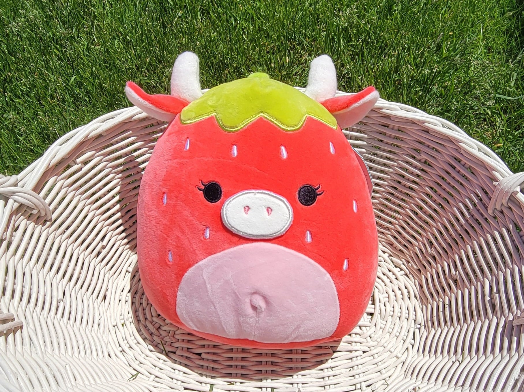 CUSTOM Chocolate Dipped Strawberry Cow Squishmallow lagoagrio.gob.ec