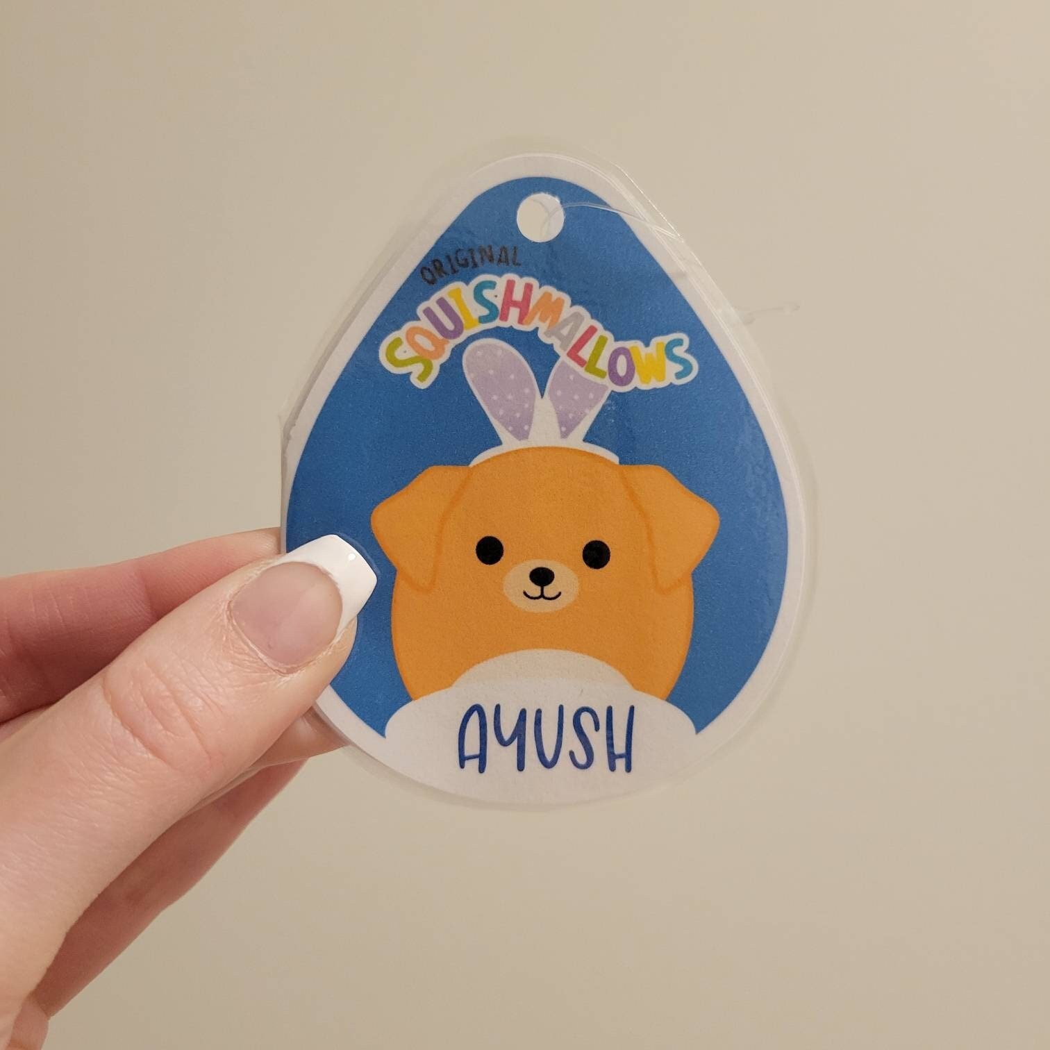 Custom Squishmallow Tag / Design / Squish Tags / DIY Squishmellow Tag /  Custom Bio Tag 