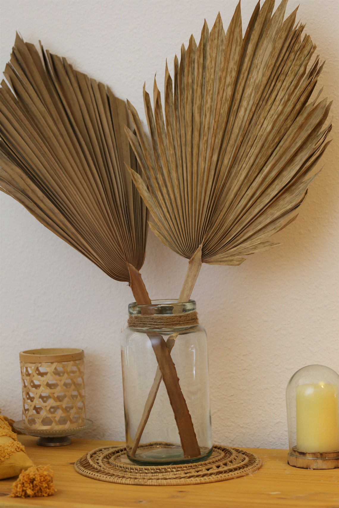 Dried palm leaves batch of 2 dried palms palm tree Etsy