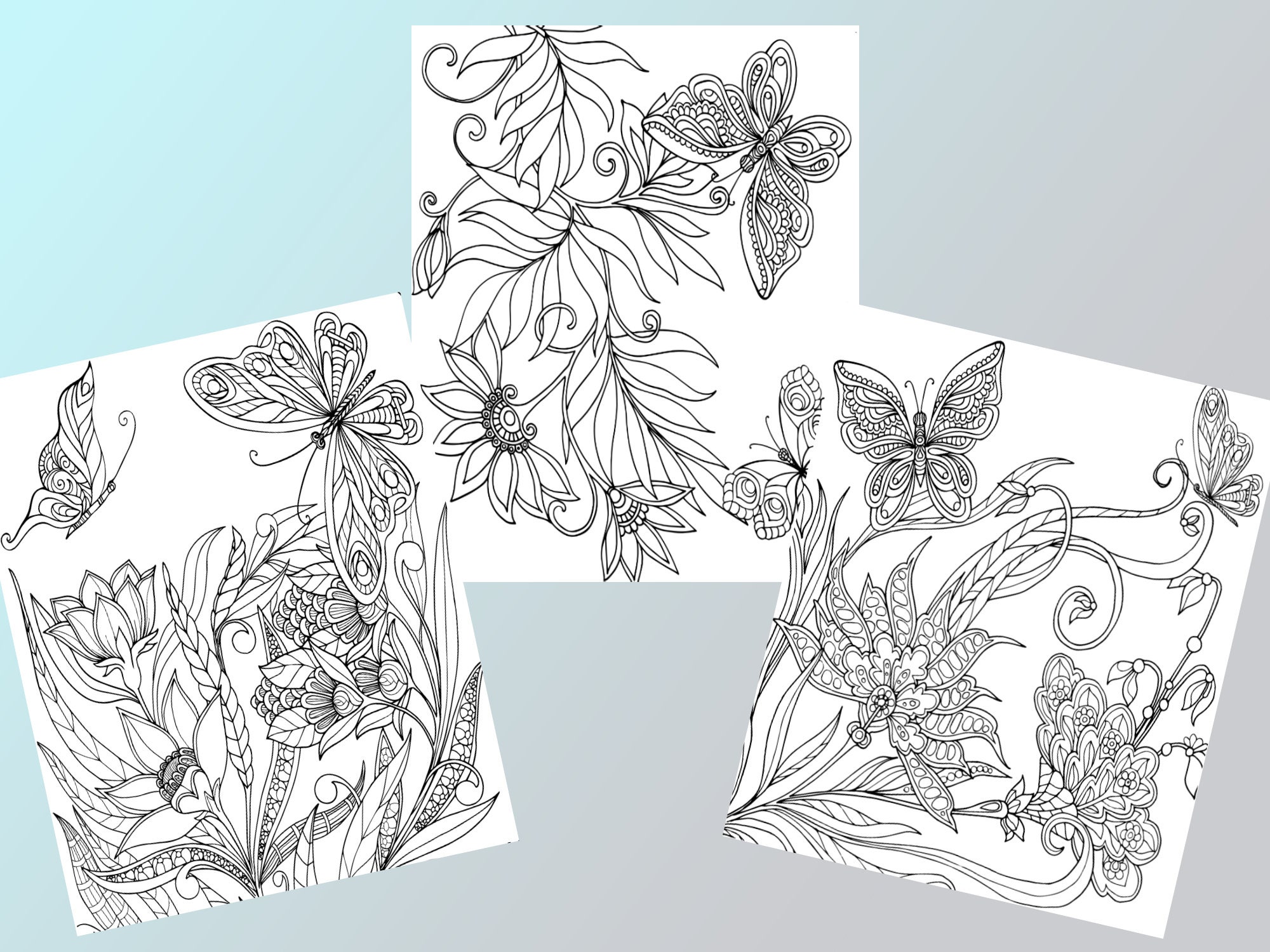 Coloring Pages Butterfly PDF Printable Cute Easy Color Pages - Etsy