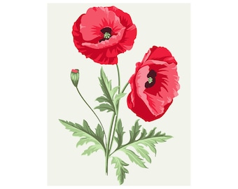Painting By Numbers Printable PDF, For Adults Kids Flowers Cute Poppies Paint By Numbers To Print, Activity At Home, etsy Instant Download