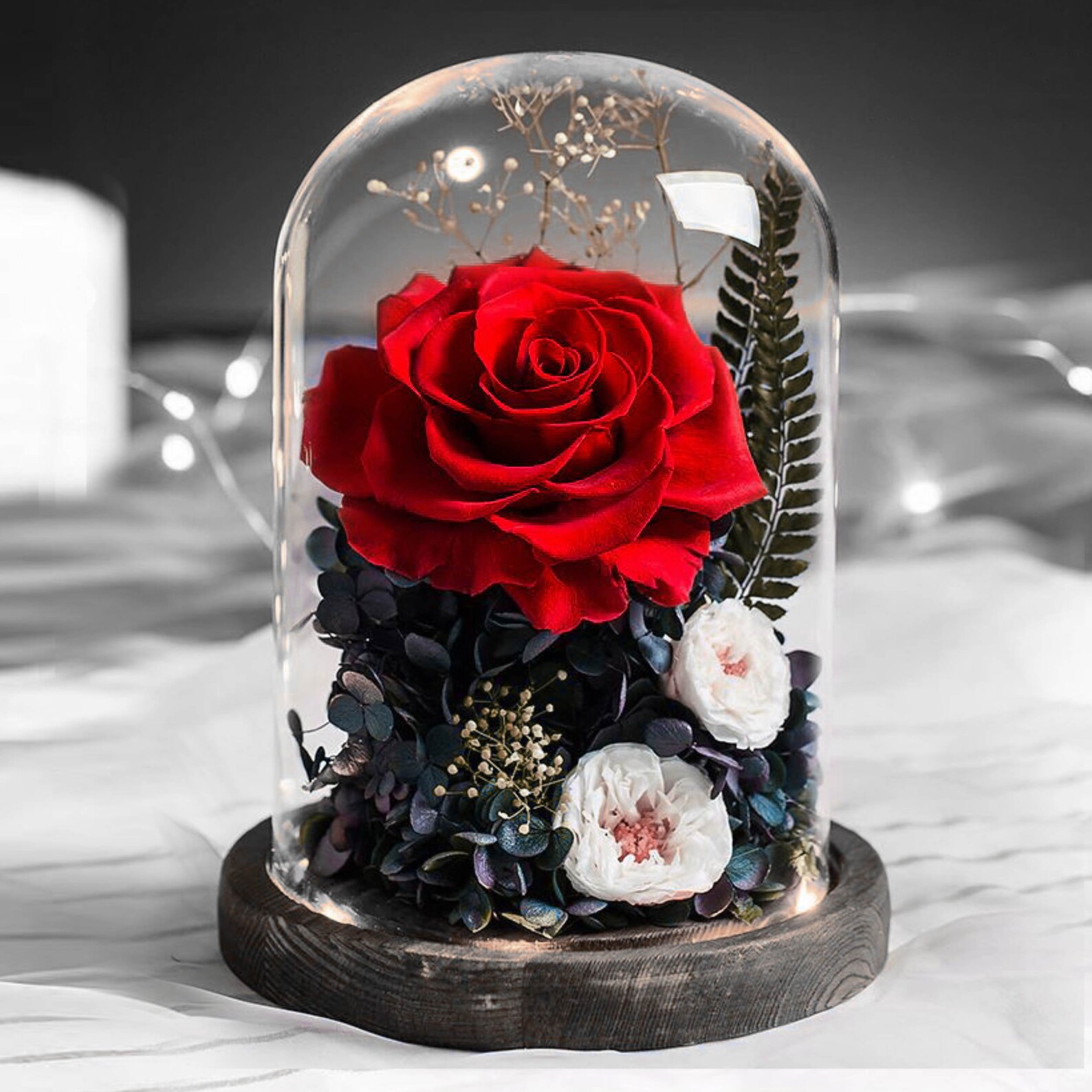 Real Preserved Lux Eternal Rose From Rosy Etsy