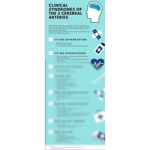 Clinical syndromes of the 3 cerebral arteries, Symptoms, & Types of strokes ; OT Quick reference sheet
