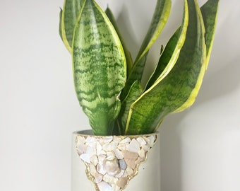 Large Mother of pearl vessel