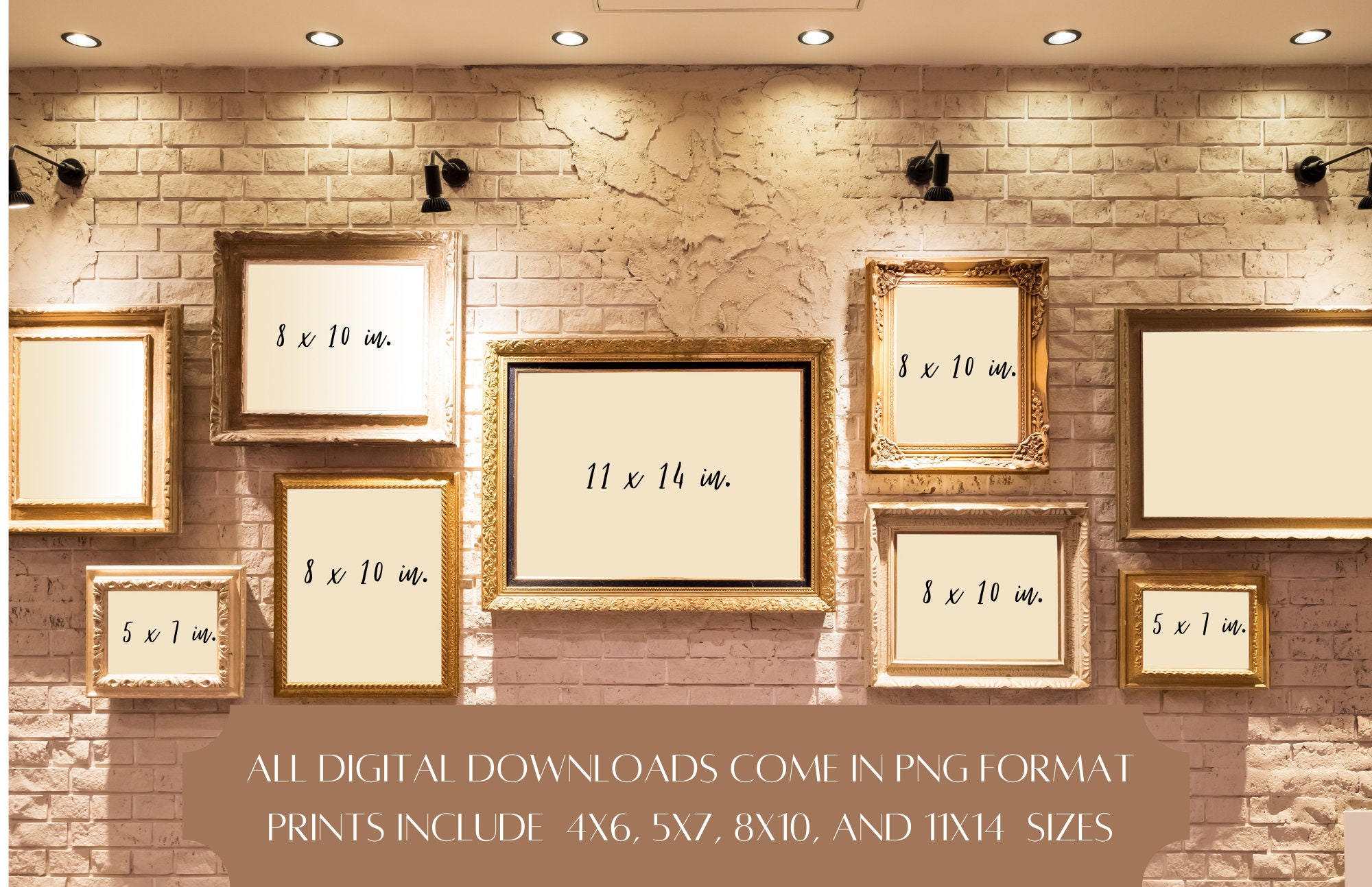 Common Normal Lab Reference Ranges Study Tool Two Different Color ...