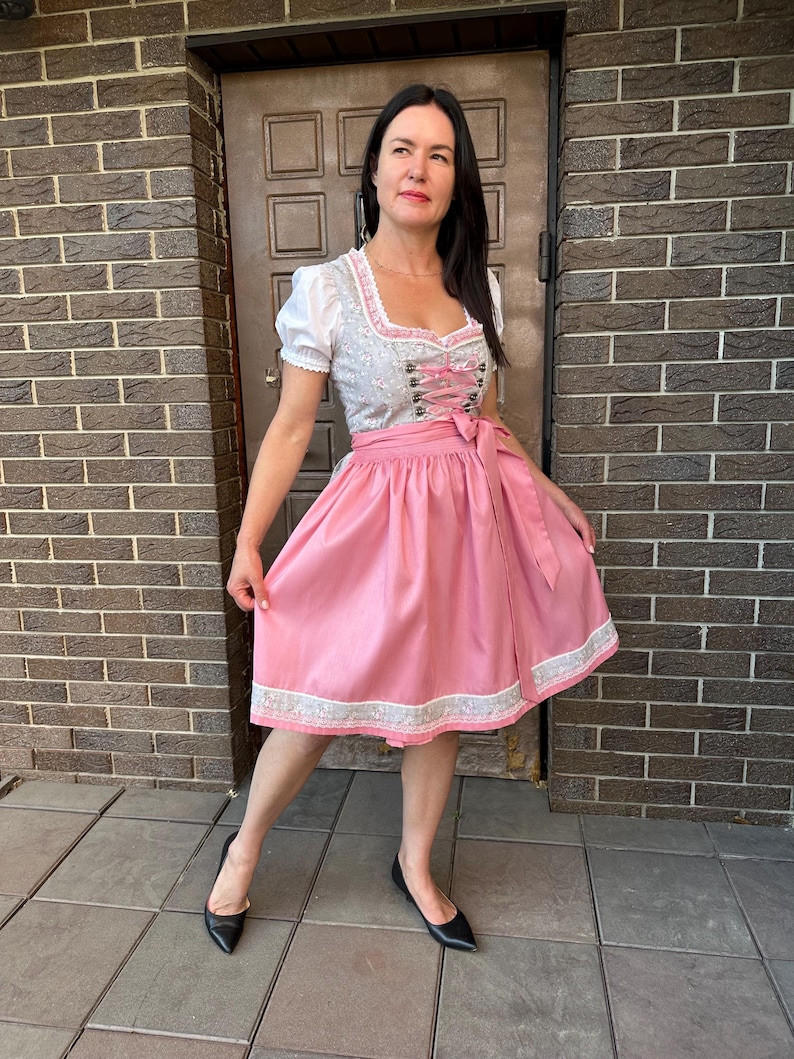 May include: A dirndl dress featuring a light gray bodice with a delicate floral pattern, short white puff sleeves, and a solid pink skirt with a matching floral border. The bodice includes a pink lace-up front closure and a pink apron tied at the waist.
