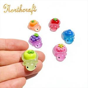 Op de afbeelding: Een verzameling kleurrijke schildpadbedels, elk met een ander fruitontwerp. De bedels zijn in tinten oranje, rood, paars, blauw en roze. De tekst "Northcraft" is zichtbaar.
