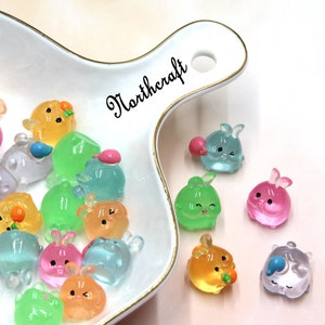 Cabochon animali trasparenti / cabochon luminosi 3D / cabochon 3D / cabochon luminosi / cabochon di coniglio / cabochon di maiale / cabochon di resina