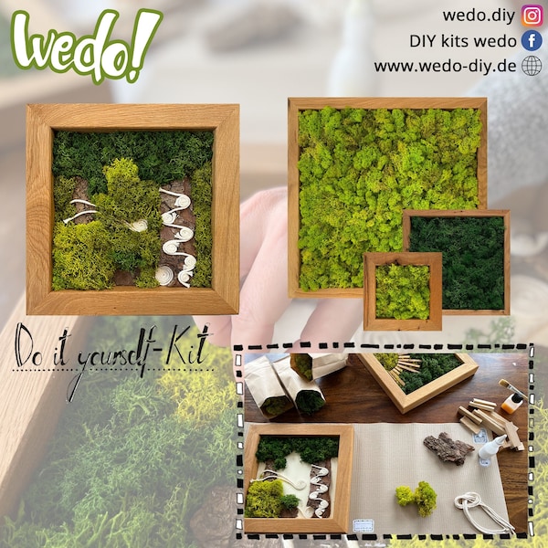 Moosbild (DIY Kit) zum Selbermachen mit Holzrahmen, Bastelunterlage und allen Materialen (Moos, Holz etc.) und Anleitungsvideo