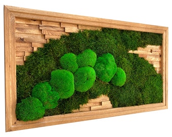 Moss picture in the motif "Kleiner Geißbock" with ball moss, flat moss and oak elements, 110x60