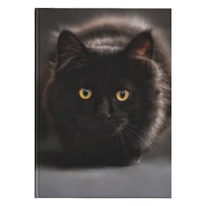 Black Cat Journal, Cat Journal, Writing Journal, Diary, Hardcover Journal,