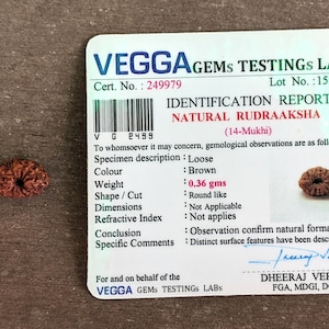 Peut inclure: Un grain de Rudraksha brun avec 14 crêtes, également connu sous le nom de Rudraksha 14-Mukhi, avec un certificat d'authenticité de Vegga Gems Testings Labs. Le certificat indique que le grain pèse 0,36 gramme, est rond et a une formation naturelle. Le certificat est signé par Dheeraj Verma, FGA, MDGI, DGI.