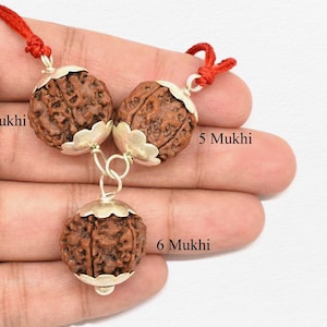 4, 5, 6 Mukhi Rudraksha Nepal Combination for Education, Stress & Wisdom silver cap pendant locket necklace in red thread