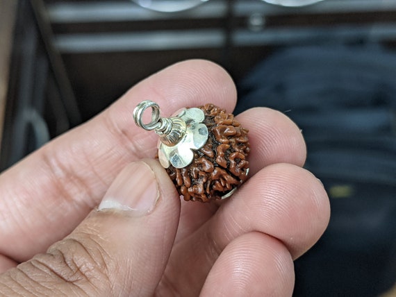 天然 13 面/ムキ認定ネパール ルドラクシャ ルース ビーズ