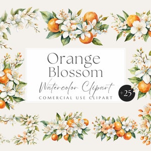 Orange Blossom Clipart, Watercolor Orange clipart, wedding blossom, Watercolor floral clipart, wedding floral clipart, Citrus wreath