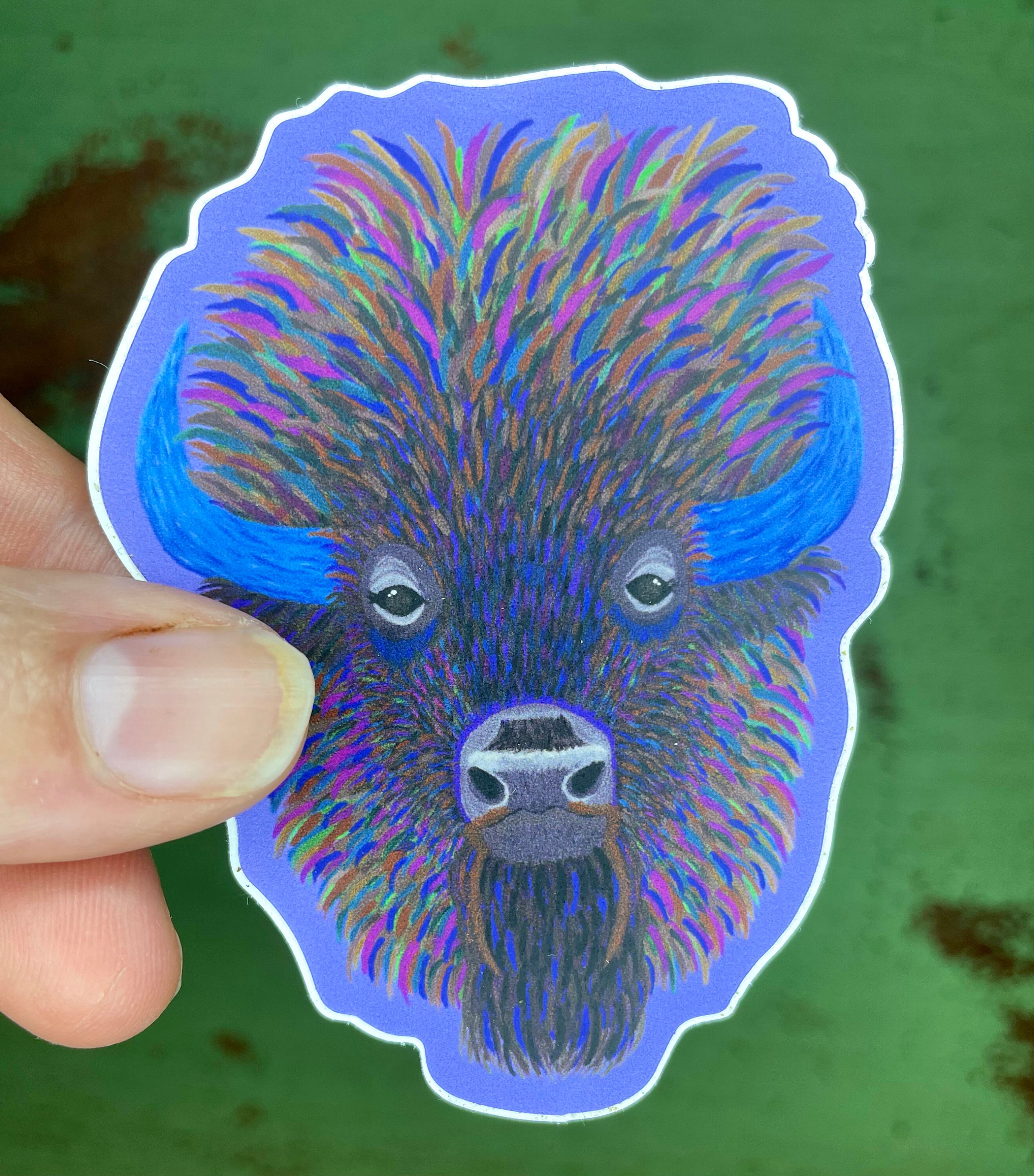 Buffalo Sticker, Whimsical Buffalo Head, Colorful Buffalo Decal, Animal ...