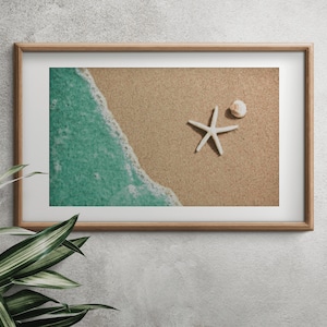 Seashell Cross Stitch patroon, strand X steekdiagram, Instant Download, digitaal bestand, PDF-formaat, zeester op het strand