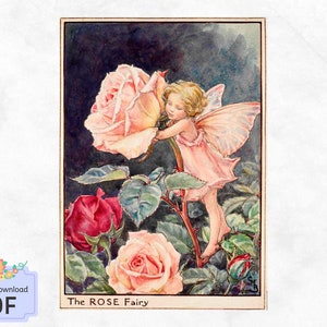 The Rose Fairy Cross Stitch Pattern ,Art X Stitch , Instant Download, Flower Fairy , Pdf