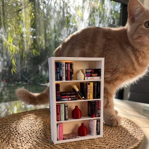 May include: A miniature white bookshelf filled with tiny books of various colors and sizes, along with small decorative items. A light orange cat stands behind the bookshelf, with a woven mat in the foreground. The scene is illuminated by natural light.