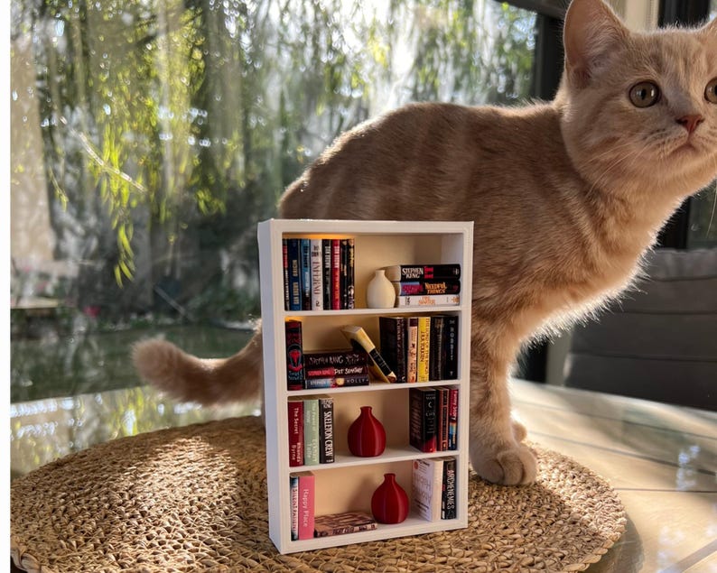 May include: A miniature white bookshelf filled with tiny books of various colors and sizes, along with small decorative items. A light orange cat stands behind the bookshelf, with a woven mat in the foreground. The scene is illuminated by natural light.