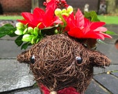 Red Robin Robin planter Christmas planter Christmas flowers Christmas gift festive gift indoor planter outdoor planter
