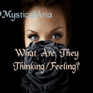 May include: A woman's face is partially obscured by a large black rose. The text "What Are They Thinking/Feeling?" is written in a cursive font below the rose.