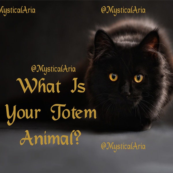 Which Powerful Animal Represents December Discover Your Totem - hwe7g6p