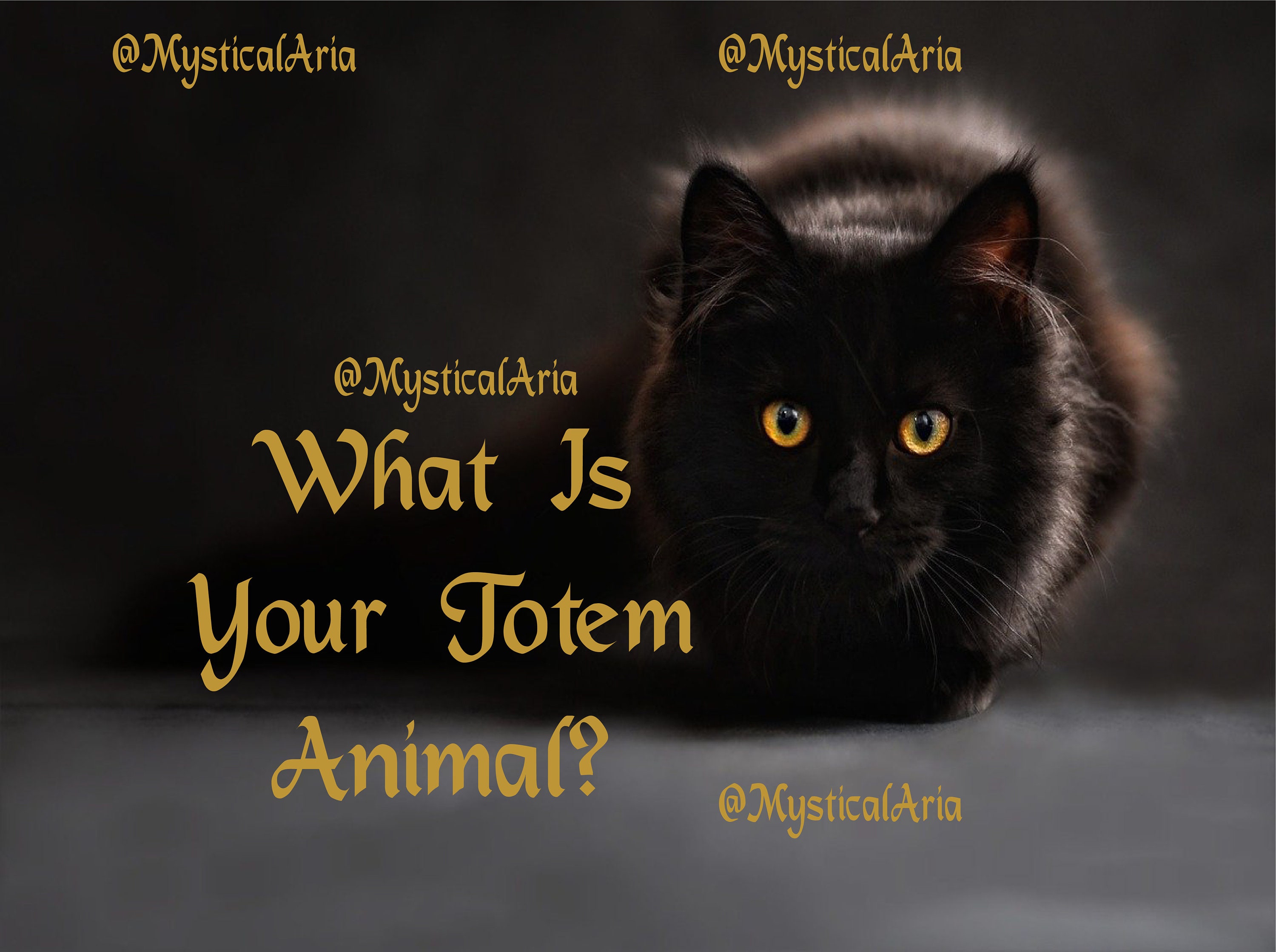 What is Your Totem Animal What is Your Spirit Animal - Etsy
