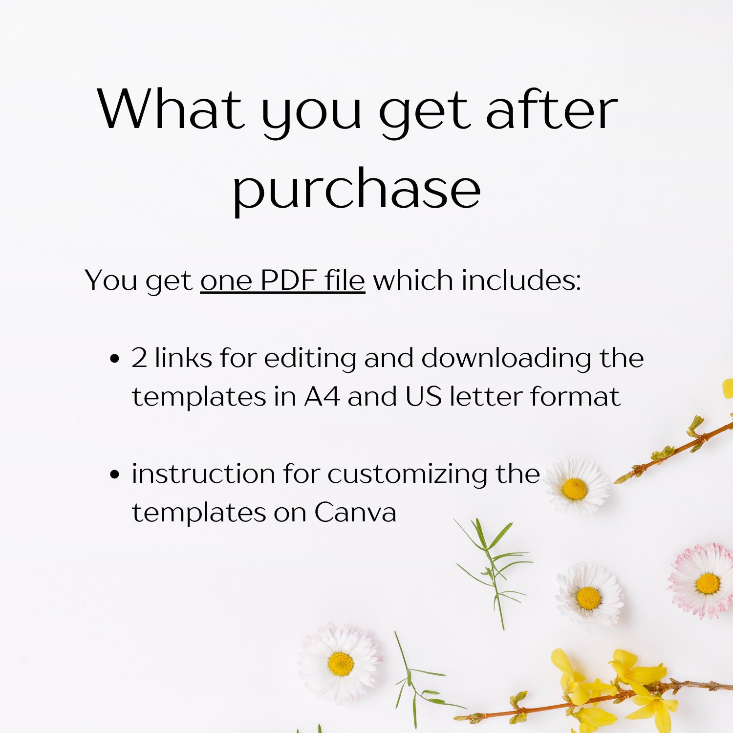 Balloon Order Form and Invoice Template, Balloon Order Tracker Template