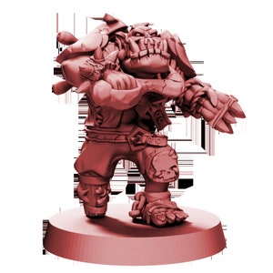 Pirate of the Orc Bay-Lineman 4