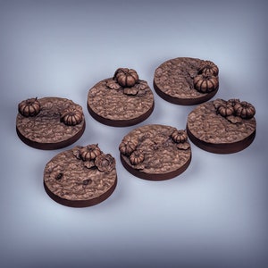 25mm Pumpkin base set of 6 designed by Duncan Shadow Luca