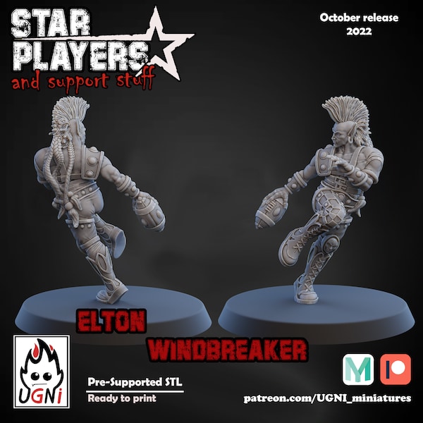 Elton Windbreaker, Elven Star Player Wardancer By Ugni Miniatures, Perfect for 28mm/32mm Fantasy Football and Tabletop Wargames.