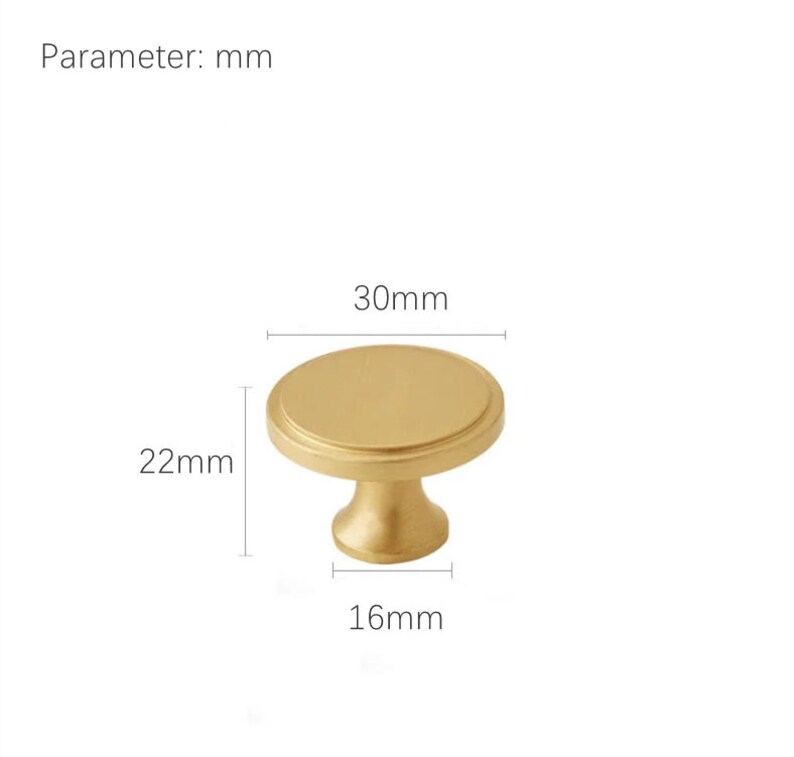 May include: A gold-colored cabinet knob with a round top, measuring 30mm in diameter, 22mm in height, and a base of 16mm. The knob has a simple, elegant design, suitable for various furniture styles. The image includes the text "Parameter: mm".
