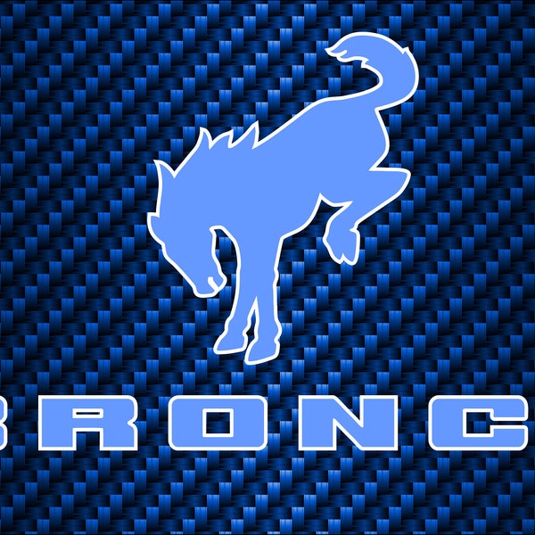 Blue Carbon Fiber Bronco Custom License Plate