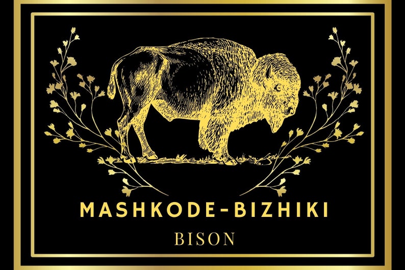 32 English/ojibwe Printable Flash Cards (digital) - Etsy