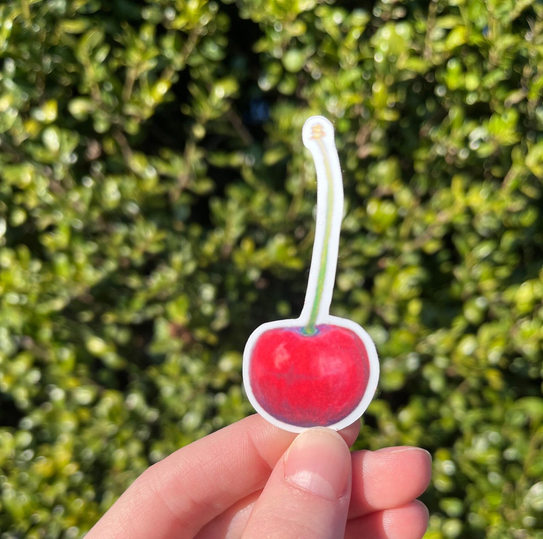 Cherry Sticker, Waterproof Sticker, Fun Water Bottle Sticker - Etsy