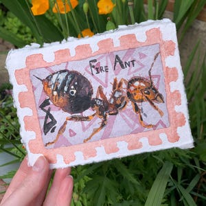 May include: A rectangular piece of textured white paper featuring a hand-painted illustration of a fire ant in shades of brown, orange, and black. The artwork is framed by a peach-coloured border resembling a postage stamp, with the text Fire Ant.