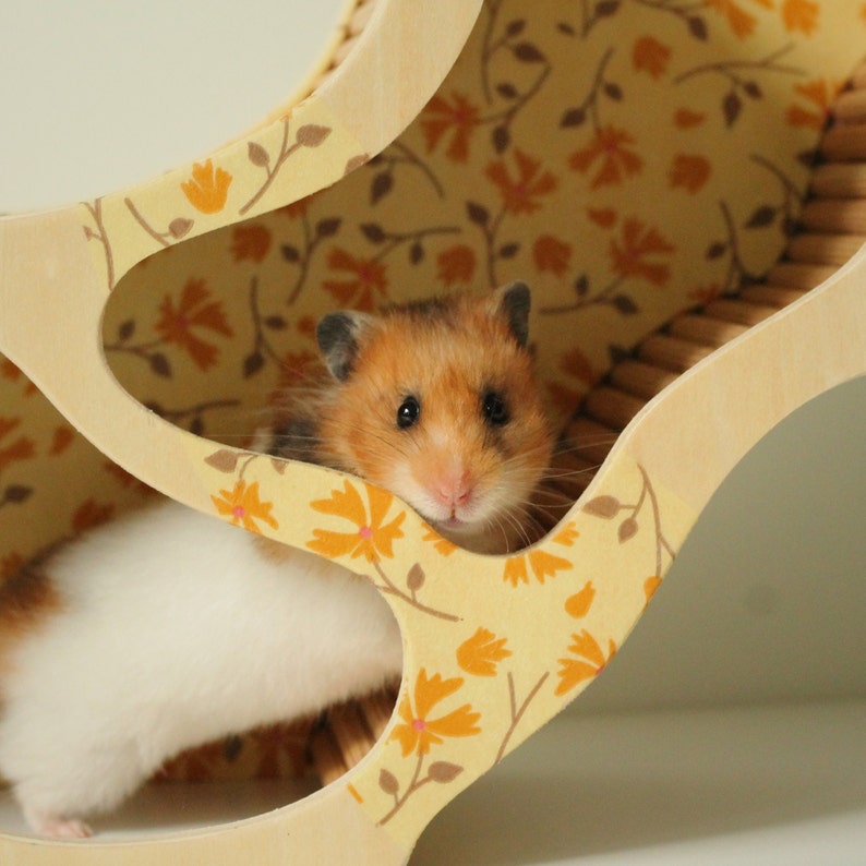 RESERVED for Etsy Design Award Hamster Watchbox LAIKA, House, Hideout