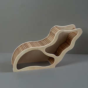 May include: A wooden pet ramp with a unique, flowing design. The ramp features a light-colored wood frame with a series of parallel wooden slats forming the ramp's surface. The design includes open, curved cutouts.