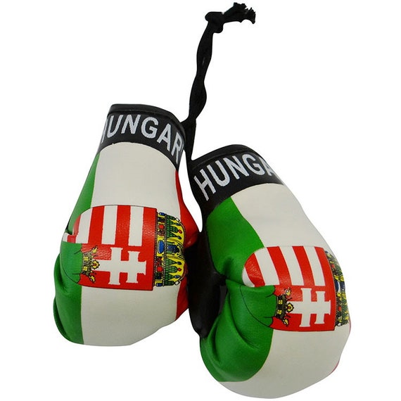 METIS Boxing Gloves