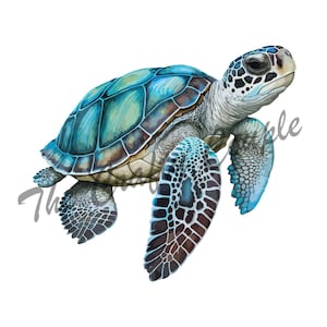 Sea Turtle Rounded Back Waterslide Decal