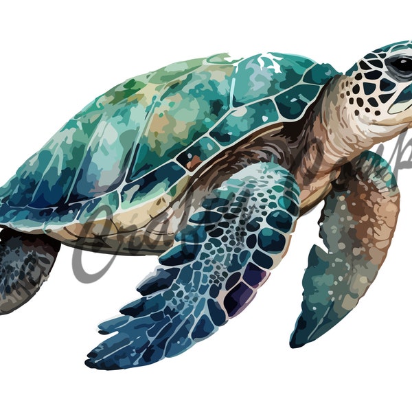 Sea Turtle 5 Waterslide Decal