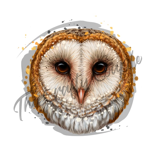 Barn Owl Face Waterslide Decal