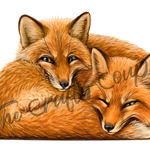 Two Cuddling Foxes No Background Waterslide Decal