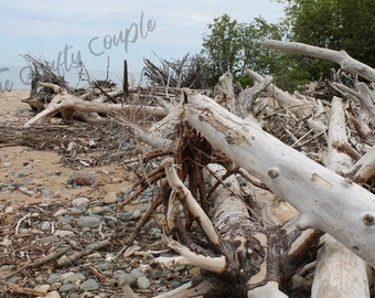Driftwood on the Beach Digital Download